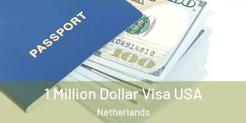  1 Million Dollar Visa USA Netherlands