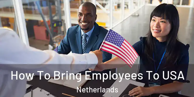  How To Bring Employees To USA Netherlands