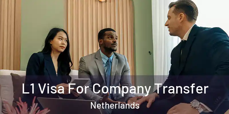  L1 Visa For Company Transfer Netherlands