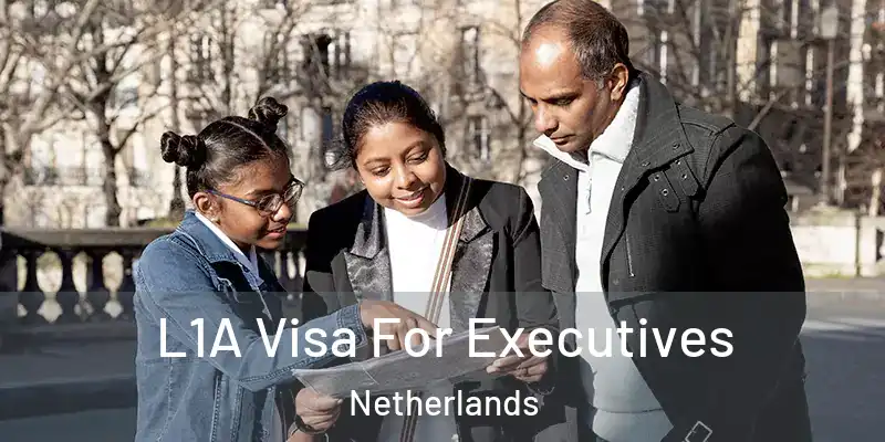  L1A Visa For Executives Netherlands