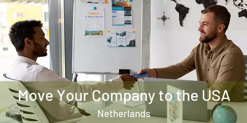  Move Your Company to the USA Netherlands