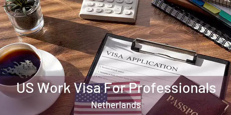  US Work Visa For Professionals Netherlands